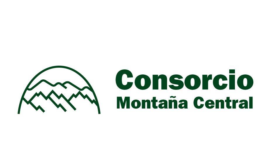 Logo montaña central