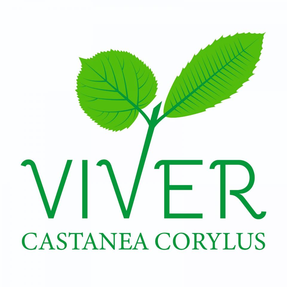 Logo VIVER