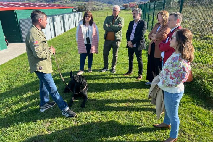 HOTEL CANINO EN CORVERA