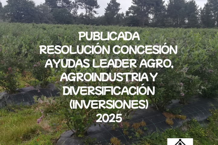 concesión ayudas leader inversiones 2025 adicap